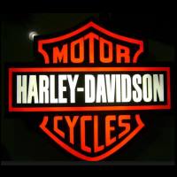 Anelli Harley Davidson